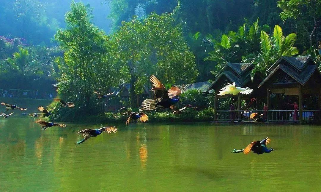 古墓丽影暗影